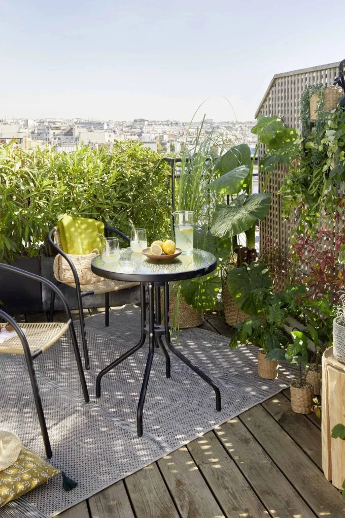 Terrasse ombragée avec sol clair et plantes denses