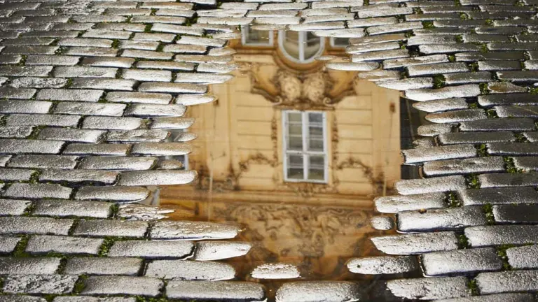 Illustration de l'article : Pluie d’automne : les 10 contrôles de terrain qui sauvent vos fondations